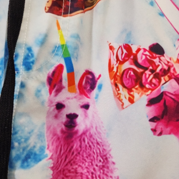 Cat riding a llama taco burrito print fully lined swim shorts men's size small - Picture 5 of 9
